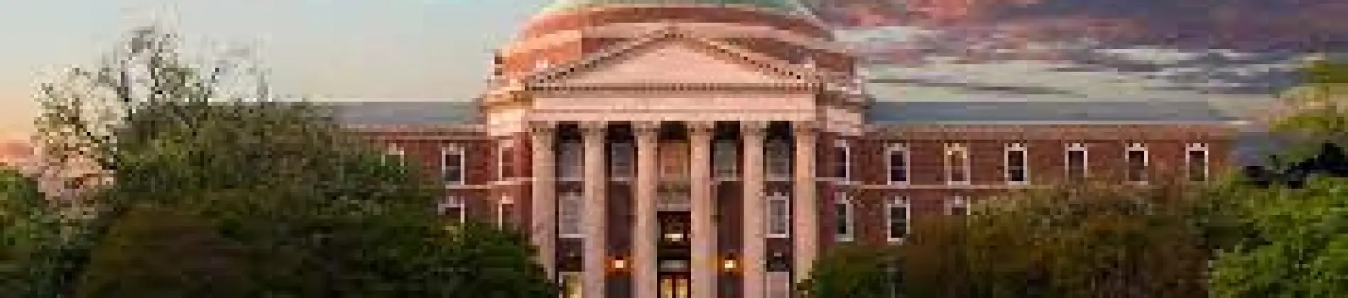 Advertising - Strategic Brand Management Specialization